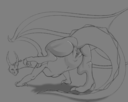 paogoo_dragon-derriere.png