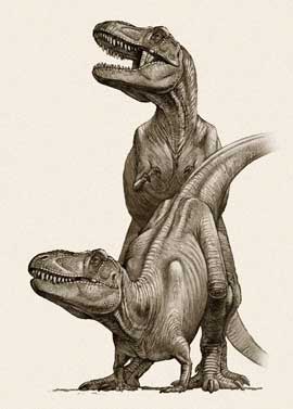 Tyrannosaurs Mating
art by Raul Martin
Keywords: dinosaur;theropod;tyrannosaurus_rex;trex;male;female;feral;M/F;from_behind;raul_martin