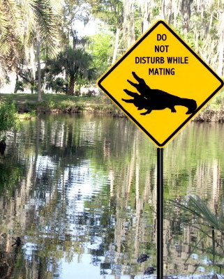 Mating Sign
unknown creator
Keywords: crocodilian;alligator;male;female;feral;M/F;from_behind;humor
