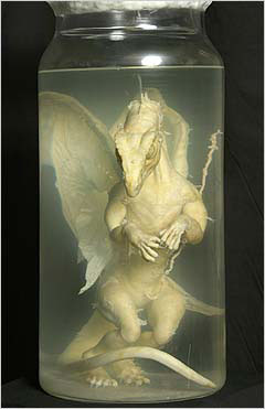 Preserved Dragon Specimen
unknown creator
Keywords: dragon;feral;hatchling;sculpture;non-adult
