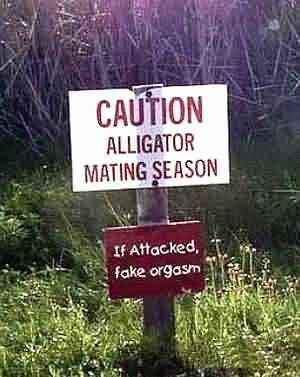 Funny Croc Sign 2
unknown creator
Keywords: crocodilian;alligator;non-adult;humor