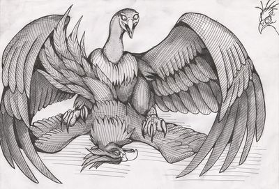Vulture and Phoenix
art by 01phoenix01
Keywords: avian;bird;vulture;phoenix;male;feral;M/M;from_behind;suggestive;01phoenix01