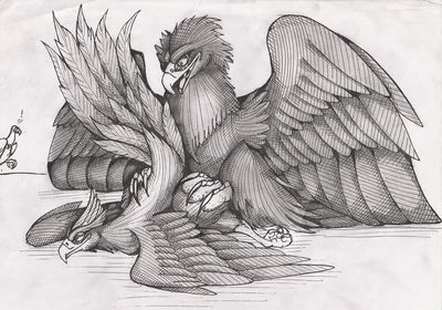 Eagle and Phoenix
art by 01phoenix01
Keywords: avian;bird;eagle;phoenix;male;feral;M/M;from_behind;suggestive;01phoenix01