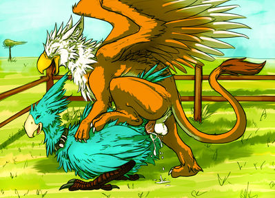 Mounting a Chocobo
art by syrinoth
Keywords: videogame;final_fantasy;chocobo;gryphon;male;female;feral;M/F;penis;from_behind;vaginal_penetration;spooge;syrinoth
