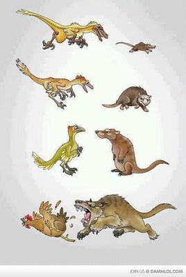 Tables Turned
unknown artist
Keywords: dinosaur;theropod;raptor;furry;rodent;canine;feral;humor;non-adult