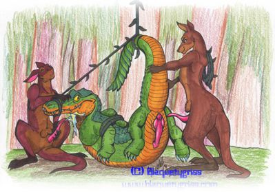 Crocodile Hunters
art by blaquetygriss
Keywords: crocodilian;crocodile;furry;kangaroo;male;feral;M/M;bondage;threeway;spitroast;penis;suggestive;blaquetygriss