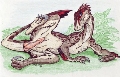 Echrei the Utahraptor
art by blaquetygriss
Keywords: dinosaur;theropod;raptor;utahraptor;male;feral;solo;penis;blaquetygriss