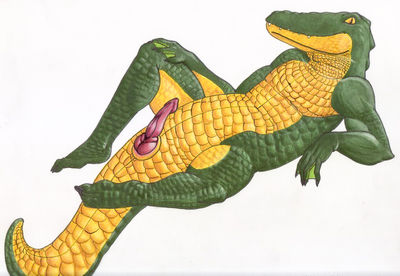 Brutus Croc
unknown artist
Keywords: crocodilian;crocodile;male;feral;anthro;solo;penis