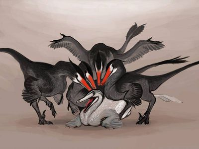 Buitreraptor Mating
art by lythroversor
Keywords: dinosaur;theropod;raptor;buitreraptor;male;female;feral;M/F;orgy;from_behind;suggestive;lythroversor