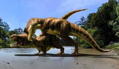 Tyrannosaurus Mating
art by julius_csotonyi
Keywords: dinosaur;theropod;tyrannosaurus_rex;trex;male;female;feral;M/F;from_behind;julius_csotonyi