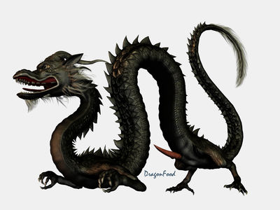 Eastern Dragon
art by dragonfood
Keywords: eastern_dragon;dragon;male;feral;solo;penis;cgi;dragonfood