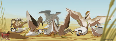 11 Pipers
art by sefeiren
Keywords: avian;bird;sandpiper;male;female;feral;M/F;cloaca;missionary;spooge;sefeiren;frisky_ferals
