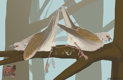2 Turtle Doves
art by sefeiren
Keywords: avian;bird;dove;male;female;feral;M/F;cloaca;spooge;sefeiren;frisky_ferals