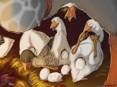 6 Geese Laying
art by sefeiren
Keywords: avian;bird;goose;female;feral;solo;cloaca;egg;oviposition;spooge;sefeiren;frisky_ferals