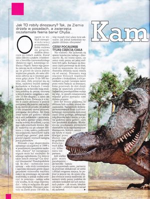 Kamasutra XXL 2
article by marzenna_nowakowska
Keywords: dinosaur;theropod;tyrannosaurus_rex;trex;male;female;feral;M/F;from_behind;article;focus_ekstra;magazine;marzenna_nowakowska