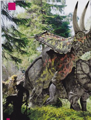 Kamasutra XXL 6
article by marzenna_nowakowska
Keywords: dinosaur;ceratopsid;triceratops;male;female;feral;M/F;from_behind;article;focus_ekstra;magazine;marzenna_nowakowska