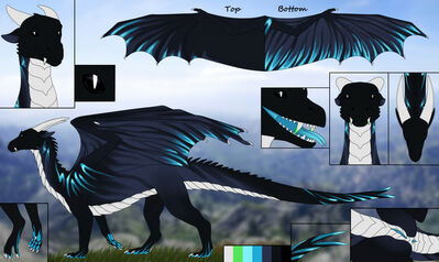 Zervyrel Reference
art by fridaflame
Keywords: dragoness;female;feral;solo;vagina;reference;closeup;fridaflame