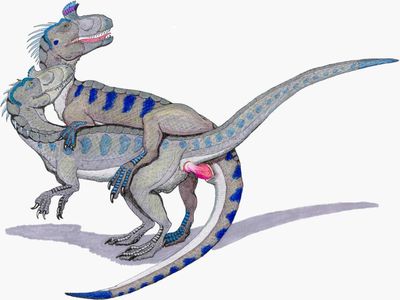 Cryolophosaurs Mating
art by blackraptor
Keywords: dinosaur;theropod;cryolophosaurus;male;female;feral;M/F;penis;from_behind;cloacal_penetration;blackraptor