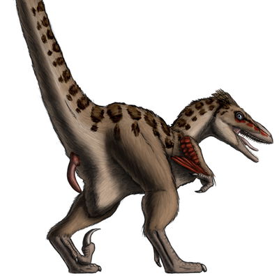 Male Utahraptor
art by orbyss
Keywords: dinosaur;theropod;raptor;utahraptor;male;feral;solo;penis;orbyss