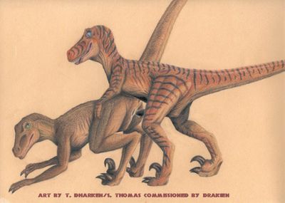 Raptors Mating
art by dharken
Keywords: dinosaur;theropod;raptor;male;female;anthro;M/F;from_behind;penis;vagina;suggestive;dharken