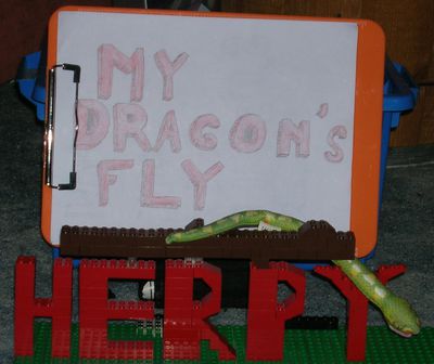 Herpy Banner in Lego
created by MyDragonsFly
Keywords: herpy;logo;non-adult;MyDragonsFly