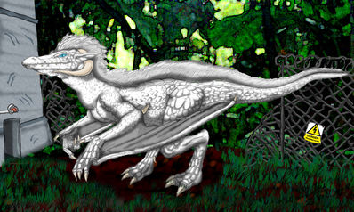I-Roark
art by lokidragon
Keywords: jurassic_world;theropod;dinosaur;indominus_rex;dragon;wyvern;hybrid;male;feral;solo;lokidragon