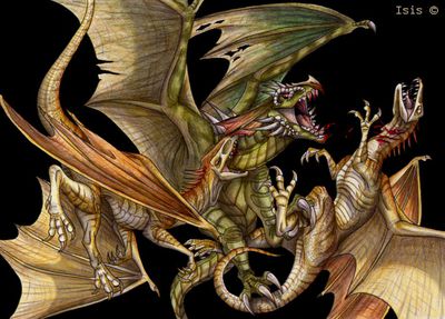 Dragons Fighting
art by isismasshiro
Keywords: dragon;feral;non-adult;isismasshiro