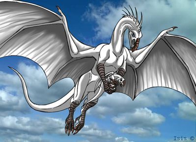 White Dragon
art by isismasshiro
Keywords: dragoness;female;hatchling;feral;non-adult;isismasshiro