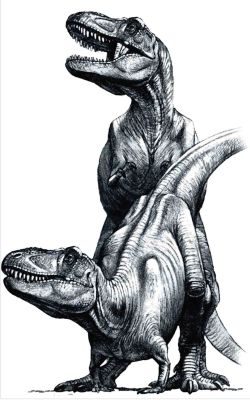 Rex Mating (HQ)
art by raul_martin
Keywords: dinosaur;theropod;tyrannosaurus_rex;trex;male;female;feral;M/F;from_behind;suggestive;raul_martin