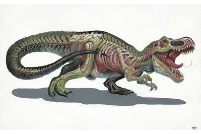Translucent Rex (colored)
art by nychos
Keywords: dinosaur;theropod;tyrannosaurus_rex;trex;feral;solo;skeleton;non-adult;nychos