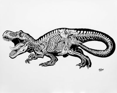 Translucent Rex (inked)
art by nychos
Keywords: dinosaur;theropod;tyrannosaurus_rex;trex;feral;solo;skeleton;non-adult;nychos