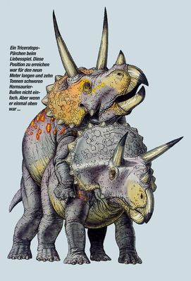 Triceratops Mating
unknown artist
Keywords: dinosaur;ceratopsid;triceratops;male;female;feral;M/F;from_behind;pm_magazin;magazine