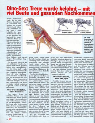 Tyrannosaurus Sex 6
article by Robert Bakker
Keywords: dinosaur;theropod;tyrannosaurus_rex;trex;feral;skeleton;article;pm_magazin;magazine;robert_bakker