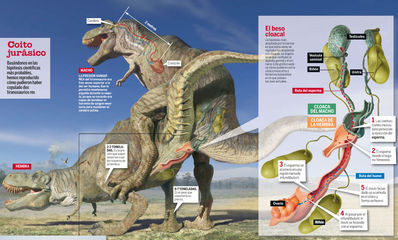 Tyrannosaurs Mating 2
unknown artist
Keywords: dinosaur;theropod;tyrannosaurus_rex;trex;male;female;feral;M/F;cloaca;internal;from_behind;quo