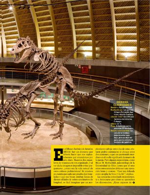 Tiranosaurio Sex 2
article by Vicente Fernandez
Keywords: dinosaur;theropod;tyrannosaurus_rex;trex;male;female;feral;M/F;skeleton;from_behind;internal;article;quo;magazine;vicente_fernandez