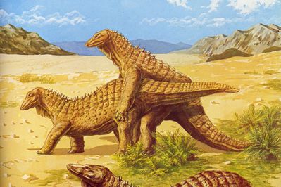 Acanthopholis Mating
art by Ron Moody
Keywords: dinosaur;ankylosaur;acanthopholis;male;female;feral;M/F;from_behind;ron_moody