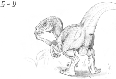 Feral Raptor
art by 5-D
Keywords: dinosaur;theropod;raptor;deinonychus;feral;solo;cloaca;5-D