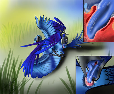 Rio
art by haliaeetus
Keywords: cartoon;rio;avian;bird;parrot;blu;jewel;male;female;M/F;cloaca;cloacal_penetration;oral;closeup;internal;haliaeetus