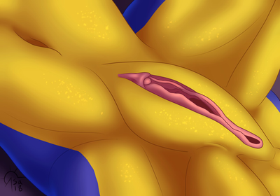 Safira Genitalia
art by SacrificAbominat
Keywords: dragoness;female;anthro;solo;vagina;closeup;SacrificAbominat