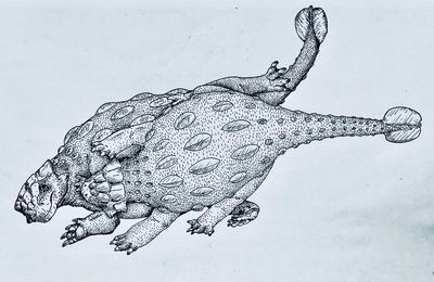 Ankylosaurus Mating
art by Sergio_Mellado
Keywords: dinosaur;ankylosaurus;male;female;feral;M/F;missionary;Sergio_Mellado