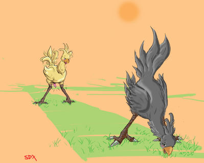 Chocobo Mating 1
art by starman_deluxe
Keywords: videogame;final_fantasy;avian;bird;chocobo;male;female;feral;M/F;penis;from_behind;suggestive;starman_deluxe