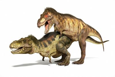 TRex Mating
unknown artist
Keywords: dinosaur;theropod;tyrannosaurus_rex;trex;male;female;feral;M/F;from_behind;cgi