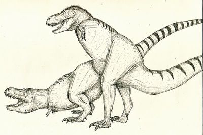 TRex Sex
art by horridus
Keywords: dinosaur;theropod;tyrannosaurus_rex;trex;male;female;feral;M/F;from_behind