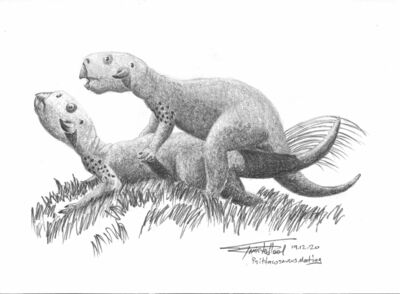 Psittacosaurus Mating
art by TwistedTool
Keywords: dinosaur;psittacosaurus;male;female;feral;M/F;from_behind;suggestive;TwistedTool