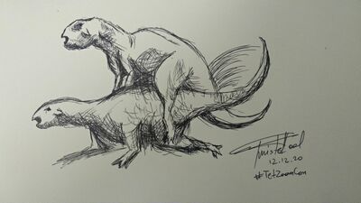 Psittacosaurus Mating (sketch)
art by TwistedTool
Keywords: dinosaur;psittacosaurus;male;female;feral;M/F;from_behind;suggestive;TwistedTool