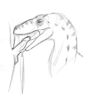 Velociraptor Blowjob
art by raithial
Keywords: beast;dinosaur;theropod;raptor;velociraptor;feral;human;male;man;penis;oral;spooge;raithial