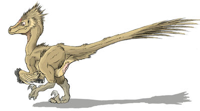 White Tip
art by dragonbartek
Keywords: dinosaur;theropod;raptor;velociraptor;female;feral;solo;cloaca;dragonbartek
