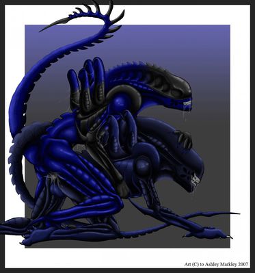 Xenomorph Sex
art by ashley_markley
Keywords: alien;xenomorph;anthro;male;M/M;penis;from_behind;anal;spooge;ashley_markley