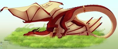 Skywing Presenting (Wings_of_Fire)
art by abyss_of_mist
Keywords: wings_of_fire;skywing;dragoness;female;feral;solo;vagina;presenting;abyss_of_mist