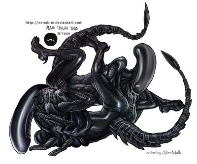 Aliens
art by xenobite
Keywords: alien;xenomorph;anthro;lesbian;female;oral;69;spooge;xenobite